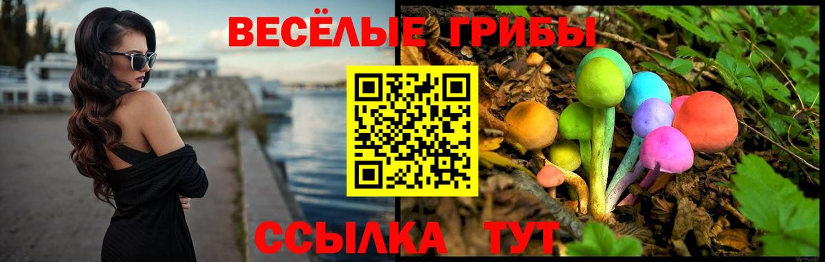 Псилоцибиновые грибы Magic Shrooms  Вход с VPN  Миллерово  Псилоцибиновые грибы ЛСД 